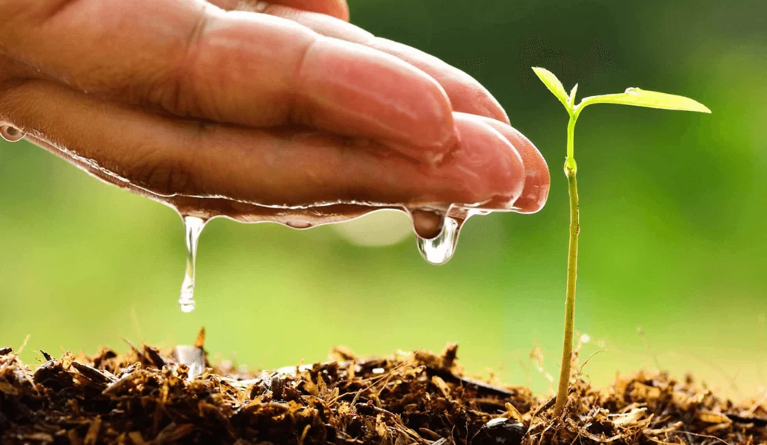 Cuida el medio ambiente con los productos que utilizas diariamente